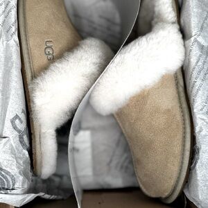 Ugg Scuffete II Slippers in Limited Edition Mustard Seed Color.